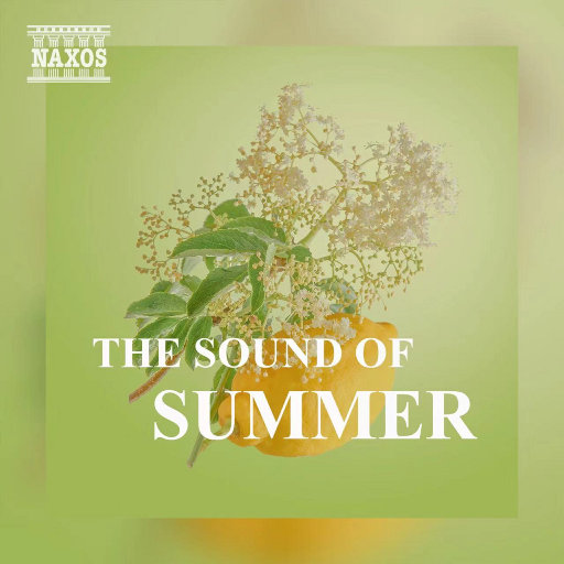 小🐣🐣插入🍑
